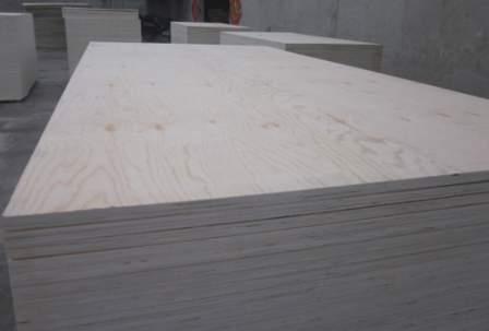 Poplar plywood02