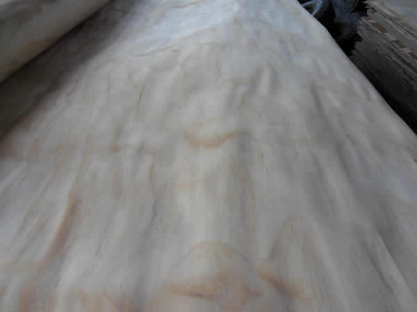 Wood veneer--radiata pine veneers